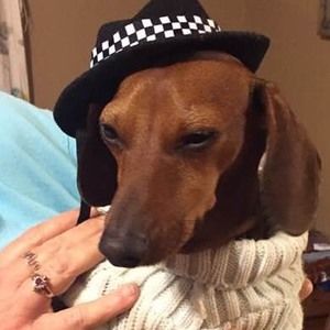 Meet your Posher, Mary